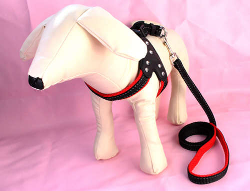 Adjustable Dog Vest & Leash - Red (Size:L) Unboxed