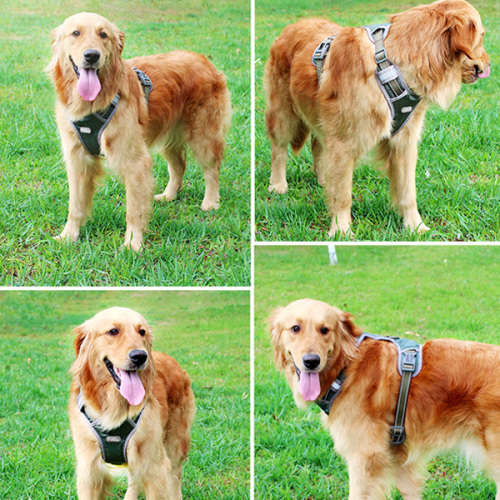 Adjustable Reflective Pet Harness (Size: M) Unboxed