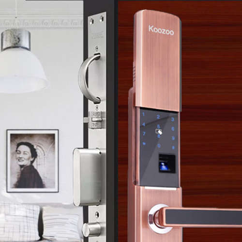 Fingerprint Biometric Smart Door Lock Unboxed