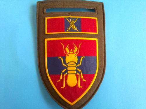 1 CONSTRUCTION REGIMENT NUTRIA FLASH