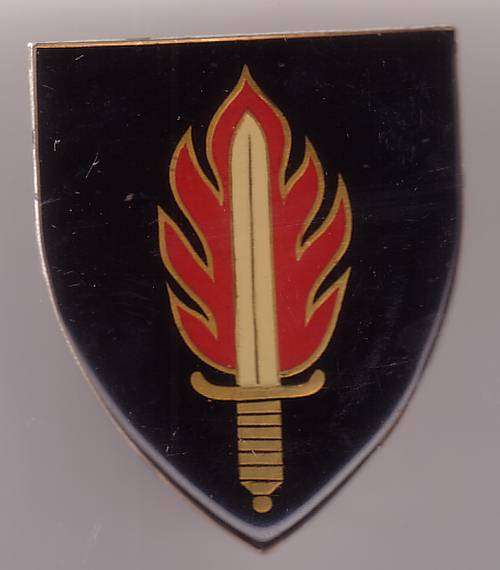 SA ARMY INTELLIGENCE SCHOOL / 11 COMMANDO UNIT METAL FLASH