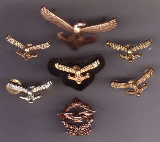 SA AIR FORCE BADGES (JOB LOT)
