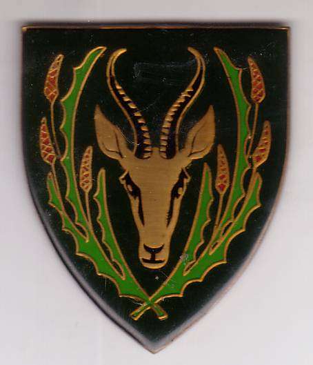 5 SA INFANTRY METAL FLASH (NO PINS)