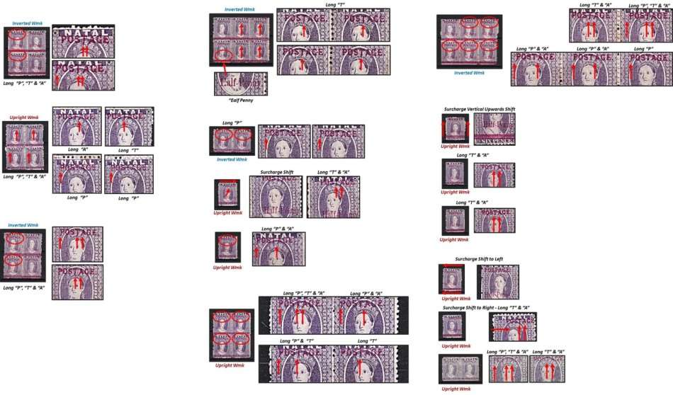 Great Study of the 1895 Natal Queen Victoria (SACC.107) VARIETIES - Some Very Scarce !!!