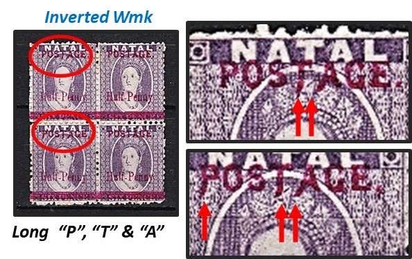 Great Study of the 1895 Natal Queen Victoria (SACC.107) VARIETIES - Some Very Scarce !!!