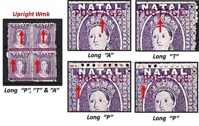 Great Study of the 1895 Natal Queen Victoria (SACC.107) VARIETIES - Some Very Scarce !!!