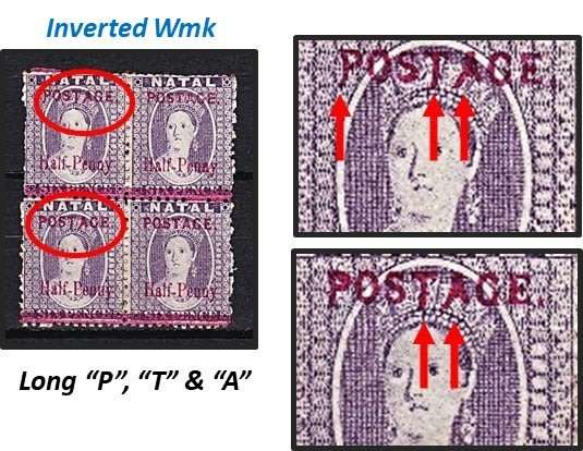 Great Study of the 1895 Natal Queen Victoria (SACC.107) VARIETIES - Some Very Scarce !!!