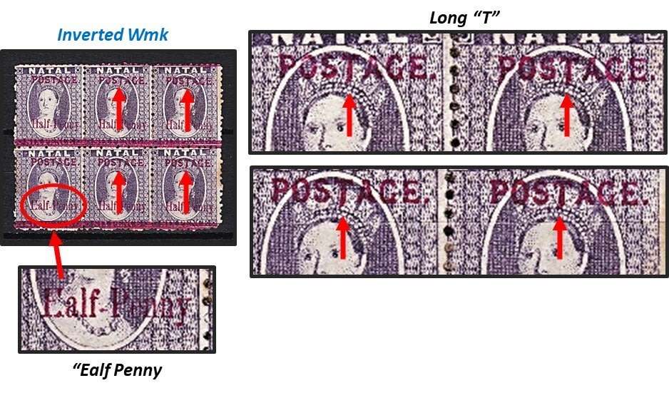 Great Study of the 1895 Natal Queen Victoria (SACC.107) VARIETIES - Some Very Scarce !!!