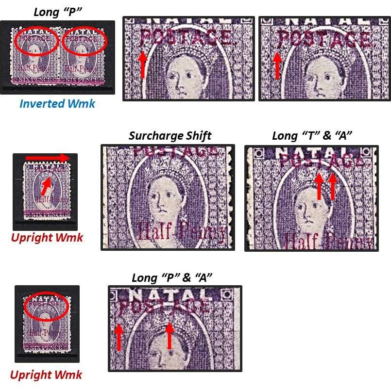 Great Study of the 1895 Natal Queen Victoria (SACC.107) VARIETIES - Some Very Scarce !!!