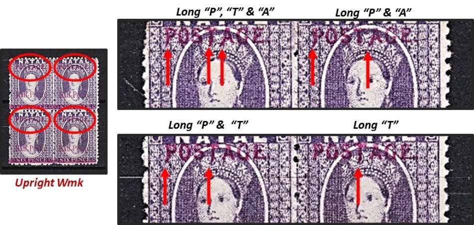 Great Study of the 1895 Natal Queen Victoria (SACC.107) VARIETIES - Some Very Scarce !!!