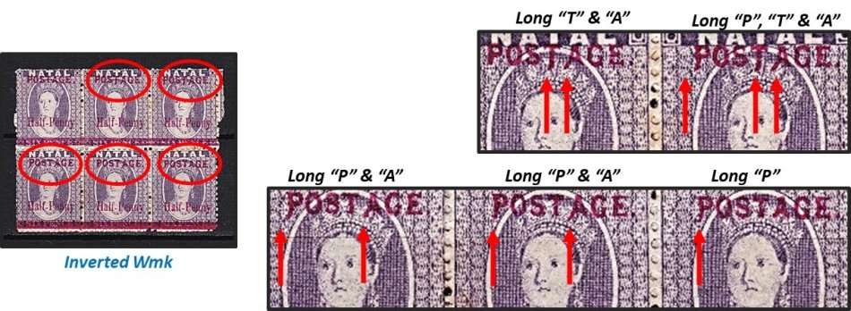 Great Study of the 1895 Natal Queen Victoria (SACC.107) VARIETIES - Some Very Scarce !!!