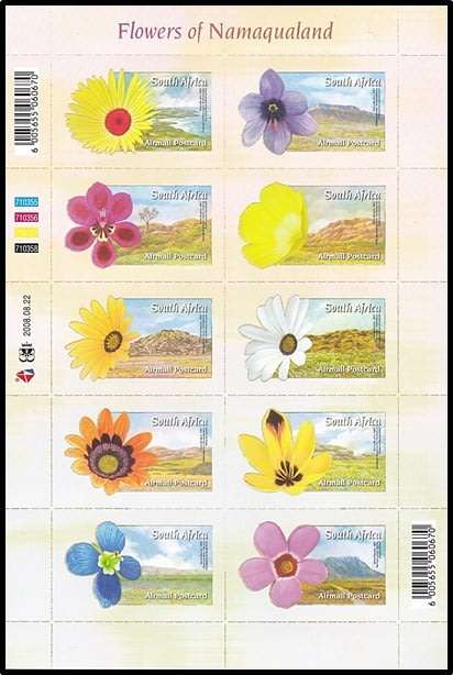 Beautiful 2008 RSA UMM (**) MS - Flowers of Namaqualand  *** 10 x Airmail Postcard Rate ***