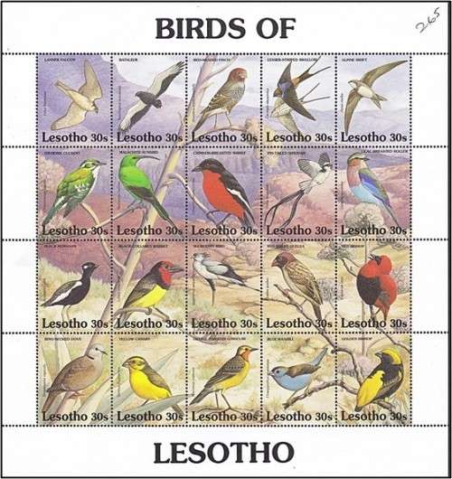 1992 Birds of Lesotho UMM (**) Sheet with set of 20  *** EXCELLENT THEMATIC ***