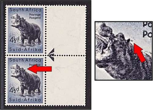 RARE 1954 Hippo UMM (**) VAR:  `TICK IN EAR`