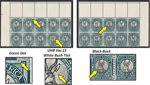 1949 Union 1/2d UMM(**) Corners - UHB V.15 - White Bush Tick, Black Buck etc...