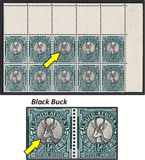 1949 Union 1/2d UMM(**) Corners - UHB V.15 - White Bush Tick, Black Buck etc...
