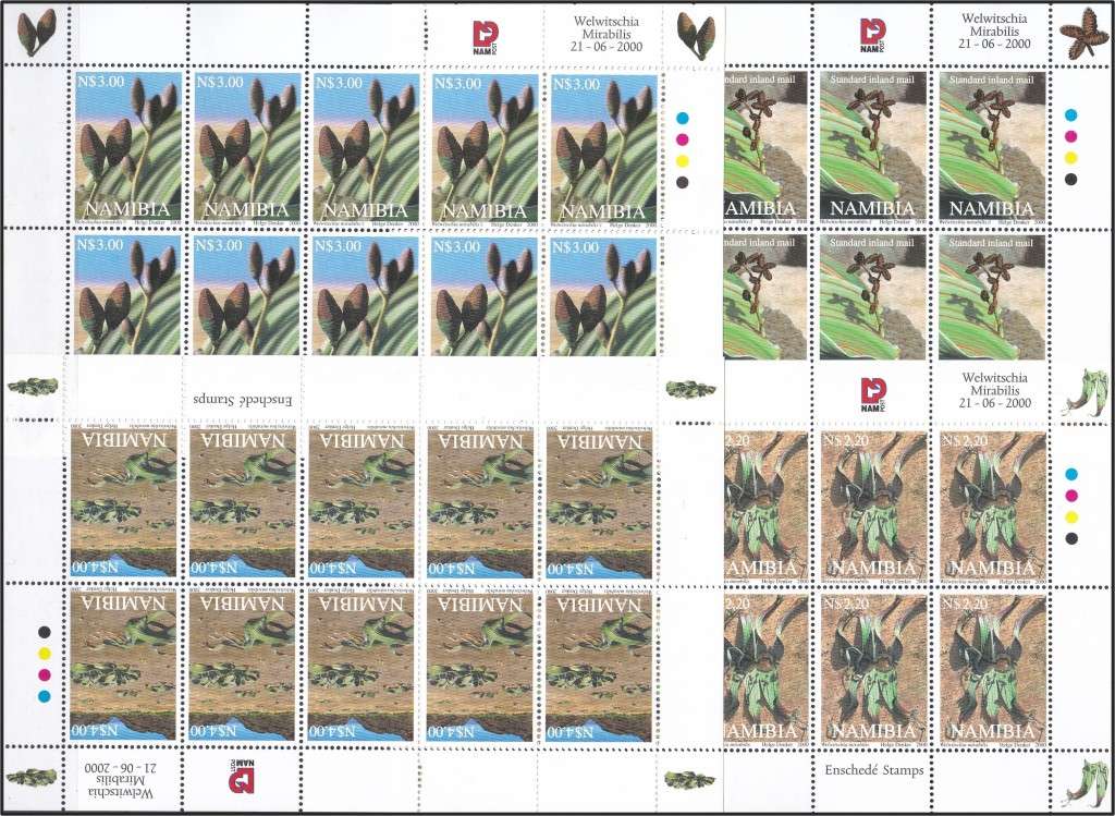 2000 Namibia Welwitschia UMM(**) Full Sheetlets of 10  *** CV  R590+ ***