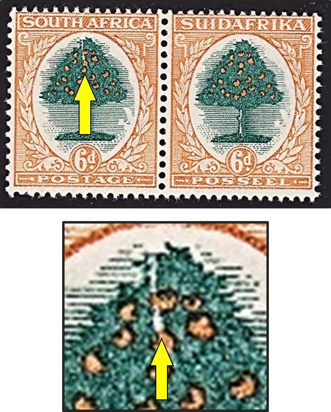 1930 Union 6d Roto MM(*) CC.48 UHB Var - Split Apex of Tree - Scarce