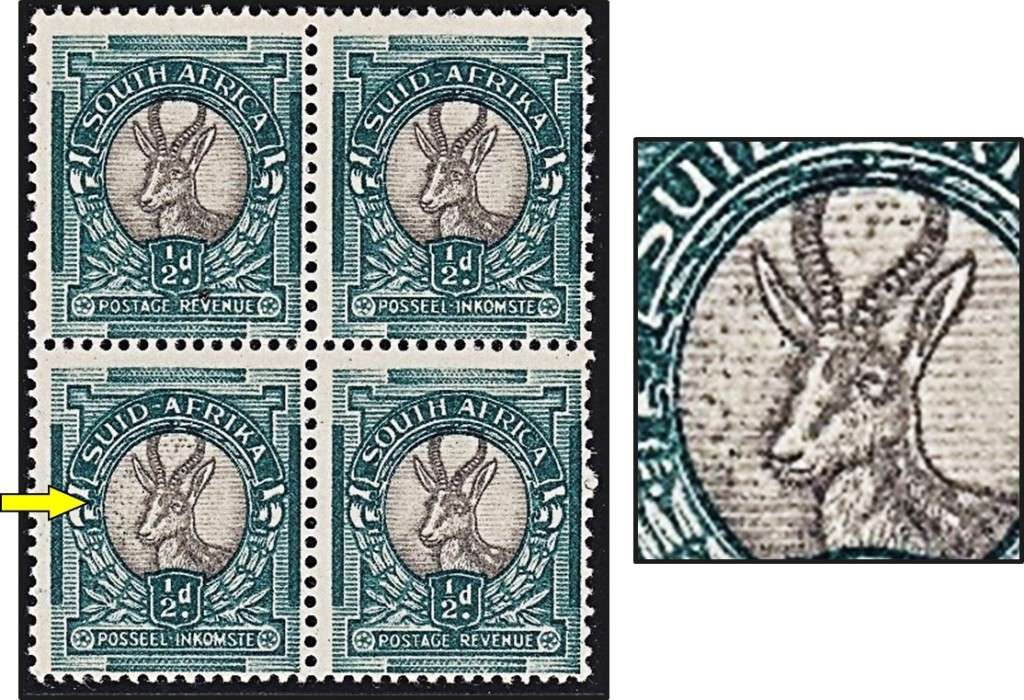 1936 Union ½d MM/UMM CC.55d Up Wmk VAR - Numerous `Insects` Around Head - RARE!!!
