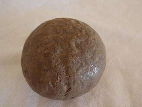 COW CUD (BEES KOUKIE) EXTREMELY RARE.!!!