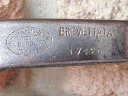 N BURDIZZO BREVETTATA BULL CASTRATOR ITALY LENGTH 36cm