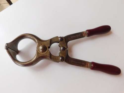 BAL ZAK BULL CASTRATOR BURDIZZO ITALY LENGTH 30cm