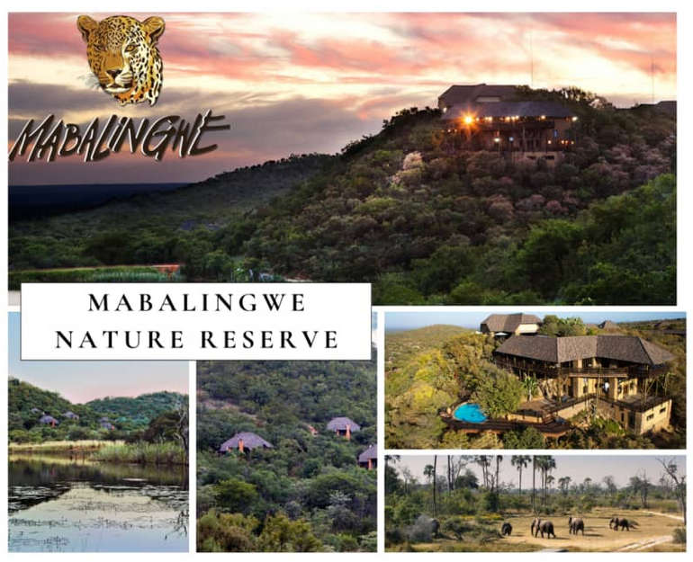 Mabalingwe Nature Reserve 6 - 10 May 2024 (Self Catering Studio Unit 4 sleeper)