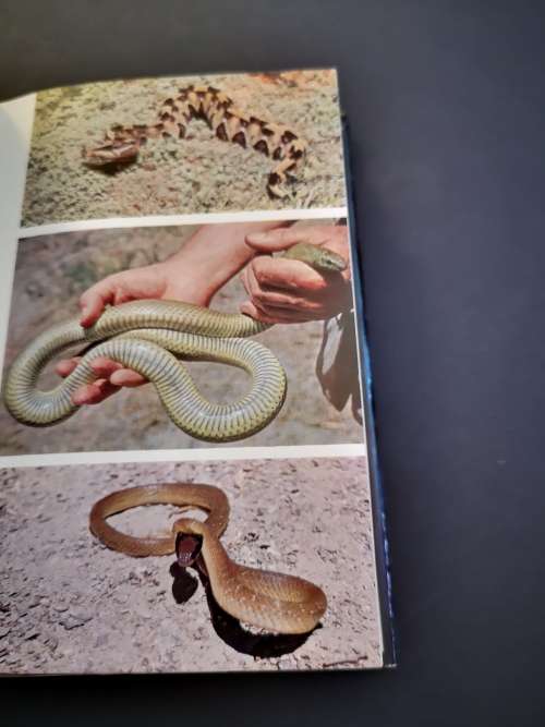 Snakes of Africa by Isemonger