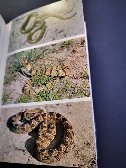 Snakes of Africa by Isemonger