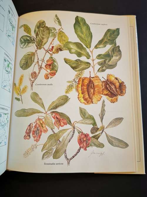 Trees and Shrubs of the Witwatersrand Magaliesburg and Pilansburg by Joan van Gogh and John Anderson