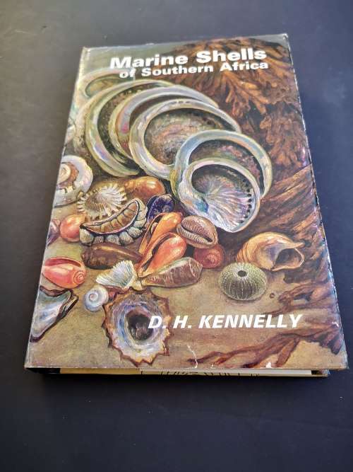 Marine Shells of Southern Africa by D H Kennelly