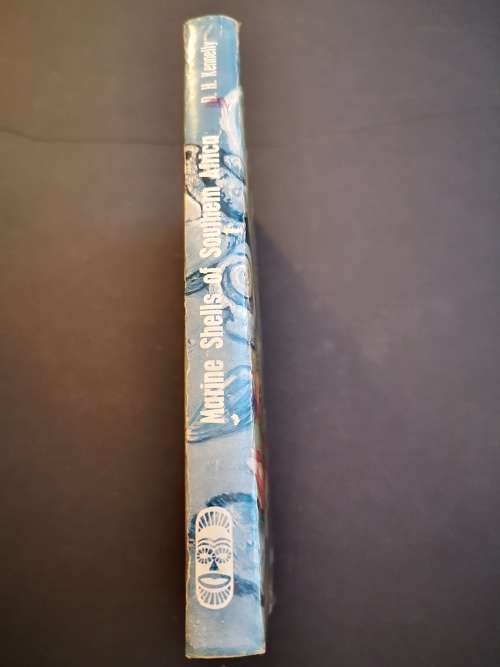 Marine Shells of Southern Africa by D H Kennelly