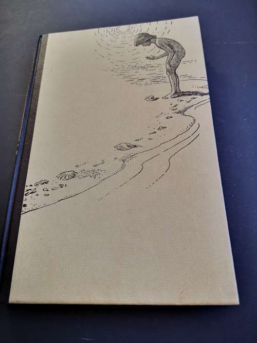 Marine Shells of Southern Africa by D H Kennelly