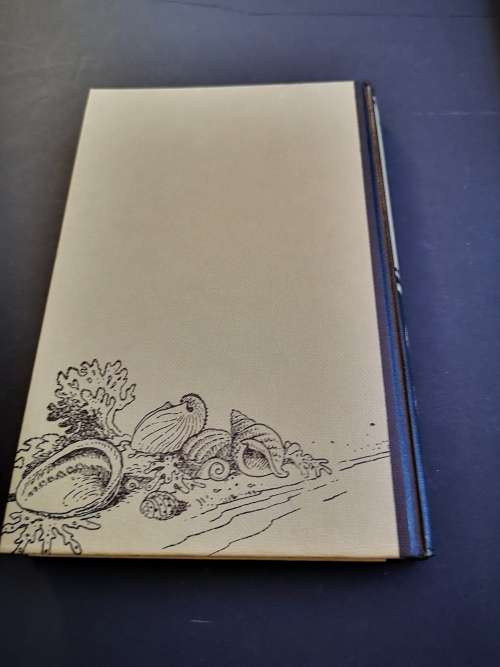 Marine Shells of Southern Africa by D H Kennelly