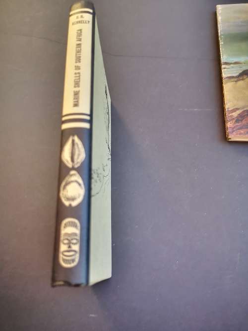 Marine Shells of Southern Africa by D H Kennelly