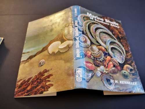 Marine Shells of Southern Africa by D H Kennelly