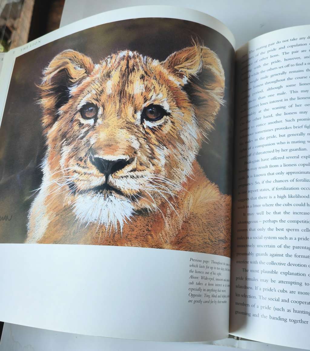 Cats of Africa by Paul Bosman and Anthony Hall-Martin
