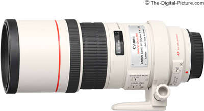 Canon ZOOM LENS EF 300mm f/4 L IS USM  Lens