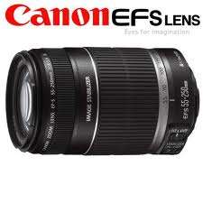 Canon EF-S 55-250mm f/4-5.6 IS Lens