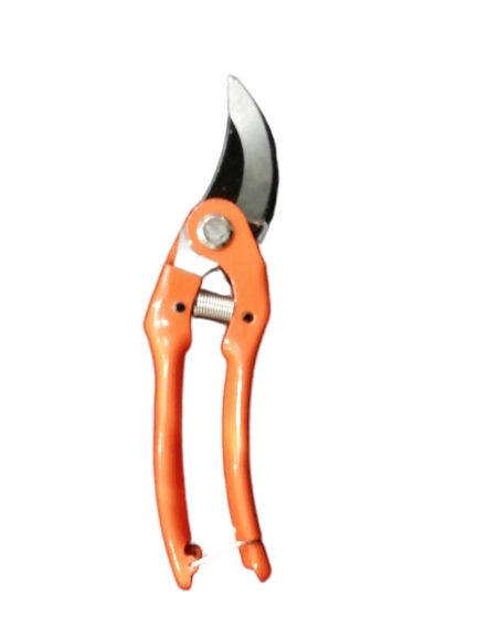 Brand New Garden Pruning Shears