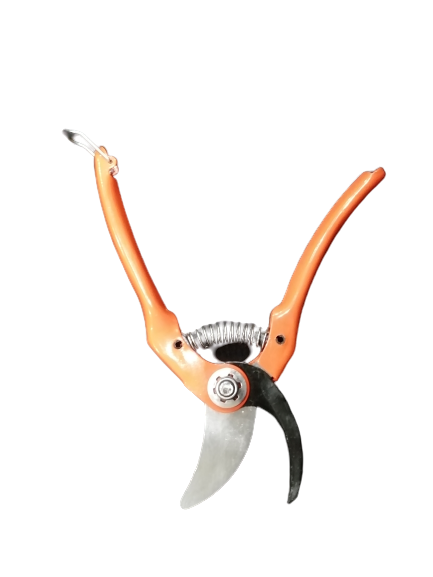 Brand New Garden Pruning Shears