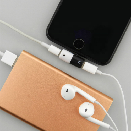 EZRA 2 in 1 iPhone Headphone Jack/Aux Audio & Charger Adapter Cable Connector