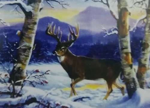 5D Diamond Painting DIY Kit - 50*-x40cm