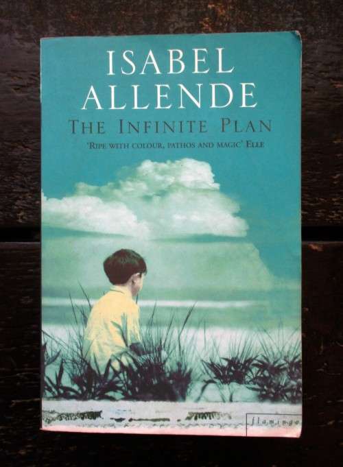The Infinite Plan by Isabel Allende