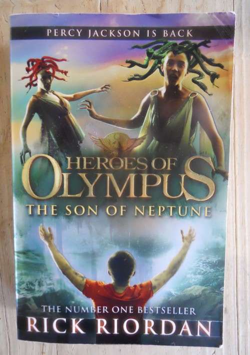 The Son of Neptune (Heroes of Olympus Book 2) by Rick Riordan