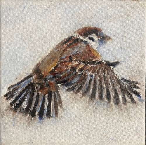 Sparrow 1