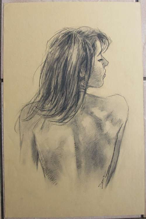 PASTEL PAINTING BY DJ CRONJE