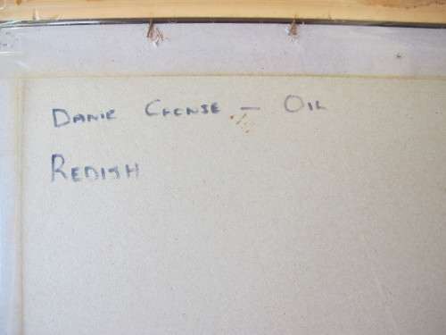 REDISH - OIL PAINTING FRAMED BEHINED GLASS BY DANIE CRONJIE