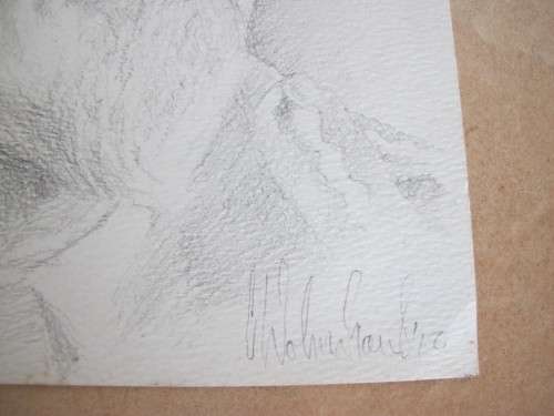 Pencil Sketch by C. Wolmarans