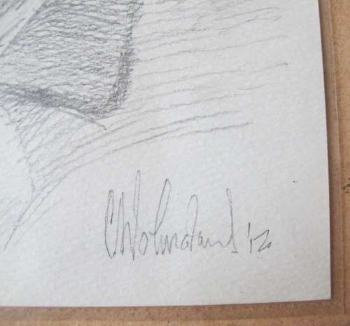 Pencil Sketch by C. Wolmarans